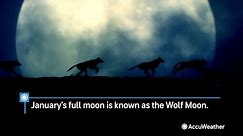 Wolf Moon Rises Tonight, the First Full Moon of 2024 | AccuWeather