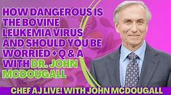 How Dangerous Is The Bovine Leukemia Virus and Should You Be Worried + Q & A with Dr. John McDougall