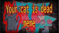Your cat is dead meme / flipaclip