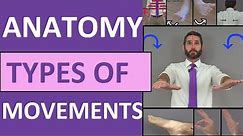 Body Movement Terms Anatomy | Body Planes of Motion | Synovial Joint Movement Terminology