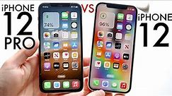 iPhone 12 Vs iPhone 12 Pro In 2024! (Comparison) (Review)