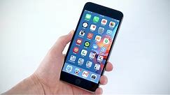 iPhone 6 Plus Review!
