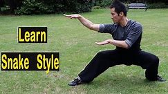 Kung Fu Wushu Snake Style - Snake Form 蛇拳