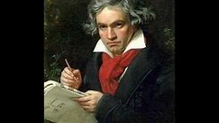 Beethoven -5th Symphony, 2nd movement: Andante Con Moto