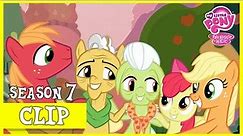 Apples and Pears Make Amends (The Perfect Pear) | MLP: FiM [HD]