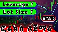 What is Leverage | What is Lot Size ? ( Part 6 ). Forex Trading Course Ethiopia. ፎሬክስ ለጀማሪ 6