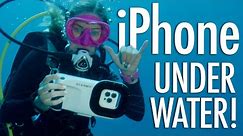 Waterproof iPhone Case! NEW Oceanic+ Dive Housing Review