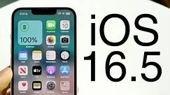 iOS 16.5 Is INTERESTING!