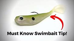 The ONLY Way To Rig A Swimbait!