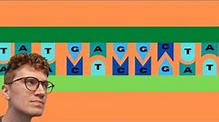 DNA EXPLAINED FOR BEGINNERS