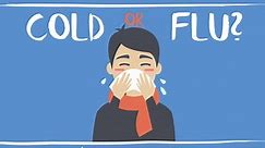 Flu symptoms: How to tell if it's a cold or influenza