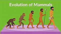 Evolution of Mammals | How did Mammals Evolved | Video for kids