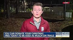 Recycle your Christmas tree for free: Here's how