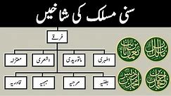 Branches of Sunni | Sects in Sunni Muslim | How are Sunnis divided? #sunni #ashari #maturidi
