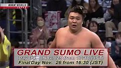 November GRAND SUMO LIVE DAY 14