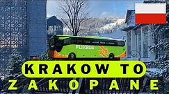 Zakopane… THIS IS POLAND?…! | Flix bus to Poland’s winter wonderland 🇵🇱 from Kraków