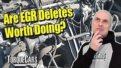 EGR Delete/EGR Removal - Worth The Risk/Effort? All You Need To Know About EGR Deletes.