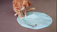 SmartyKat Hot Pursuit Electronic Concealed Motion Cat Toy, Battery Powered - Blue, One Size
