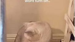 Cat gets upset when the Roomba won't turn on!