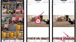 How to Get a Still Photo from a Video on iPhone • macReports