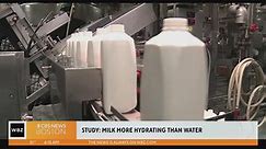 Milk is a better drink for hydration than water, study finds
