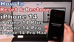 How to Reset/Restore iPhone 14/Pro/Pro Max/Plus Factory Reset Forgot Passcode iPhone is Disabled Fix