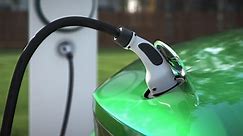 Electric vehicles 'are the future'