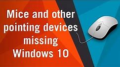 Mice and other pointing devices missing from device manager windows 10