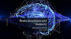Brain Structures and Memory