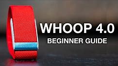 WHOOP 4.0: Ultimate Beginner's Guide