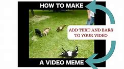 How to make a video meme - video meme generator in any video editor