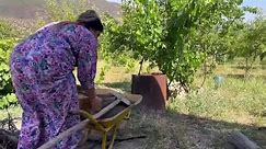 Making a clay oven in a rural style - Cooking saffron chicken in the village