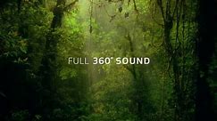 Dolby Atmos® | 7.1 Surround Sound Test