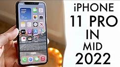 iPhone 11 Pro In Mid 2022! (Review)