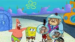 Watch SpongeBob SquarePants Season 4 Episode 10: Chimps Ahoy/Ghost Host - Full show on Paramount Plus