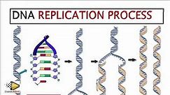 Copy of DNA REPLICATION (DNA CODE OF LIFE): GRADE 12 LIFE SCIENCES BY M.SAIDI THUNDEREDUC