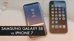 Samsung Galaxy S8 vs iPhone 7 | Best Phone for You?