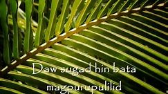 AN LUBI : Samar-Leyte Folk Song