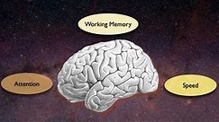 Exploring the Crossroads of Attention and Memory in the Aging Brain: Views from the Inside