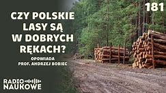 Polskie lasy - czy mamy nad nimi odpowiednią kontrolę? | prof. Andrzej Bobiec