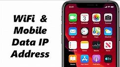 How To See IP Address On iPhone (WIFI & Mobile Data)
