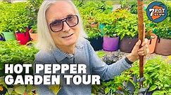 2021 Hot Pepper Garden Tour Part 1 (Walking the Pepper Path)