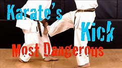 Karate's Most Dangerous Kick - Oblique Kick