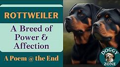 Rottweiler | Everything You Need to Know About This Beloved Dog Breed | Dog Lovers