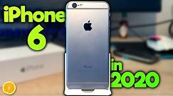 Why you should buy an iPhone 6 in 2020!