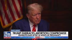 Trump reportedly promotes abortion ban after 16 weeks of pregnancy