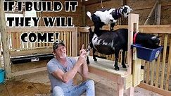 Super Easy DIY goat milking stand ~ Step by Step