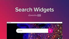 Introducing The Search Widget