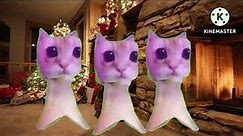 Kumi kumi Haba Laka Happy New Year | Cat meme dancing | Kumi dance @CiC-CatsisCats