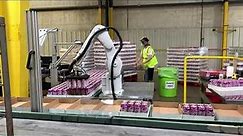 Beverage variety packing robot arm on a production line